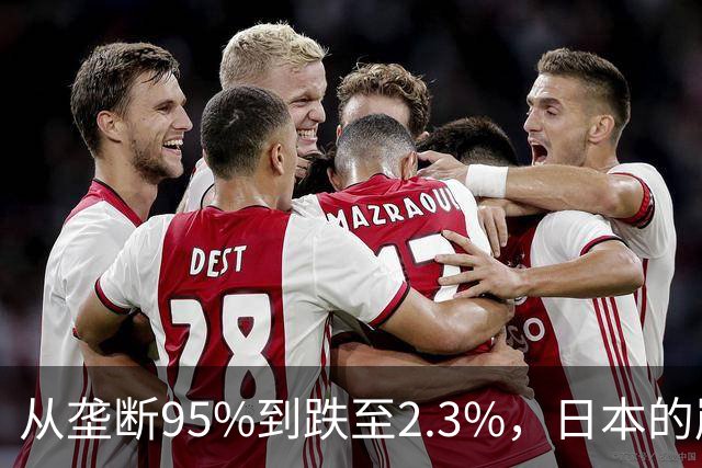 从垄断95%到跌至2.3%，日本的崩溃循环，中国亲手按下终止键