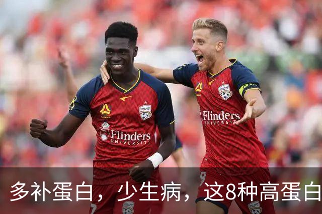 多补蛋白，少生病，这8种高蛋白换着吃，营养足身体舒坦不遭罪