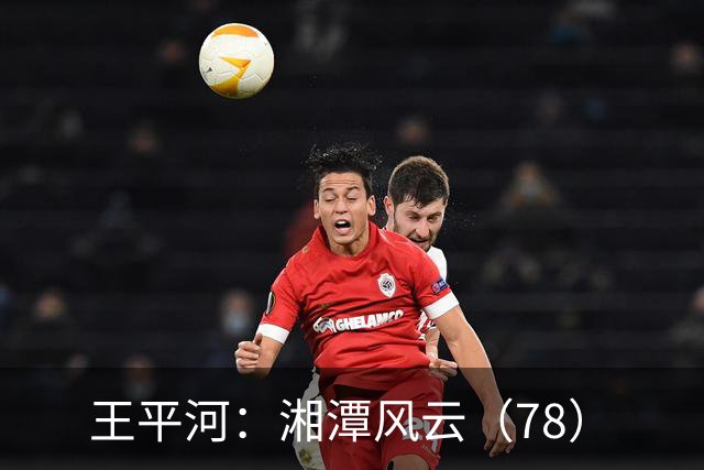王平河：湘潭风云（7/8）